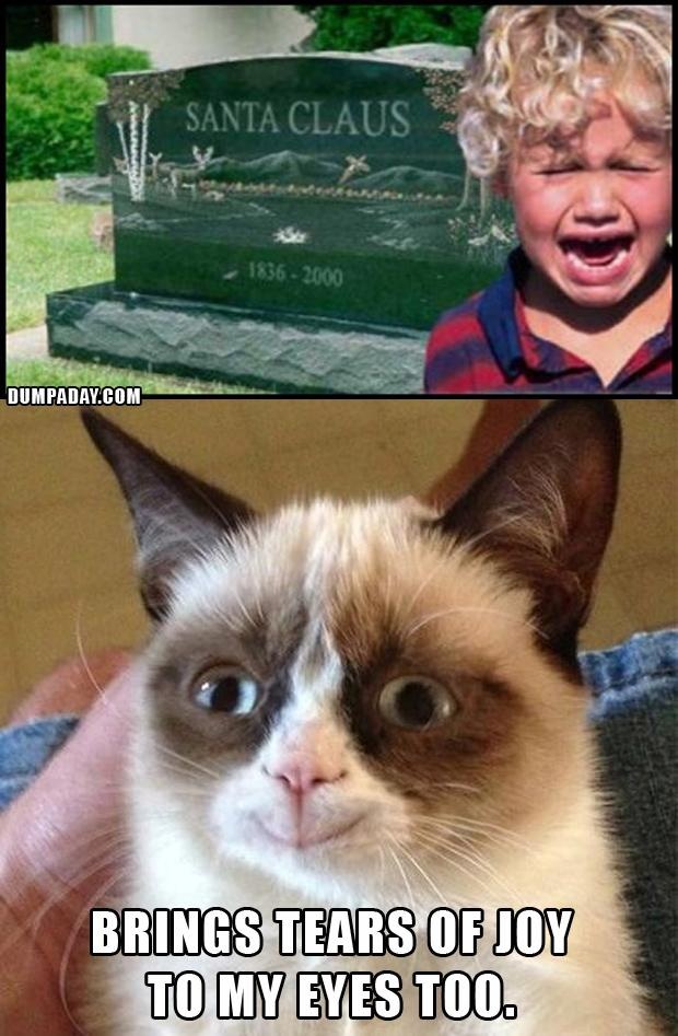 Grumpy Cat is pleased.