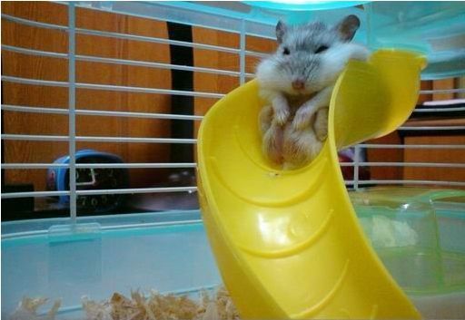 Does this slide make me look fat?