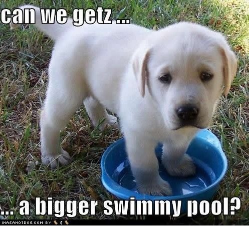Can we getz a bigger swimmy pool?
