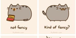 Pusheen’s guide to being fancy.