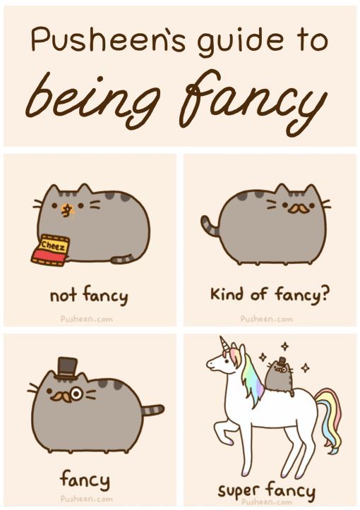 Pusheen's guide to being fancy.