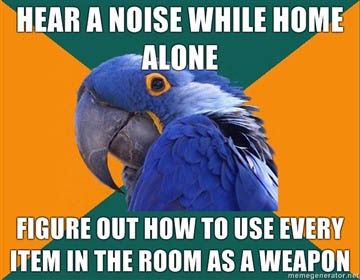 Hear a noise while home alone...