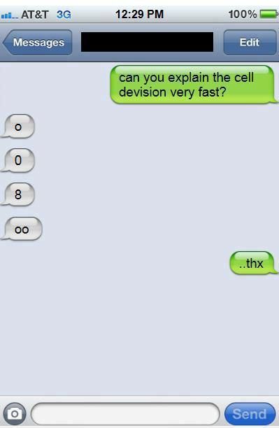 Quick! Teach me cell division!