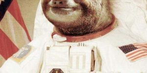 Sloths in space…