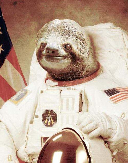 Sloths in space...