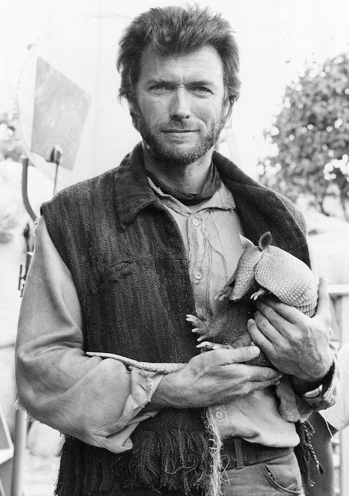 I'm Clint Eastwood, and I approve of this armadillo.