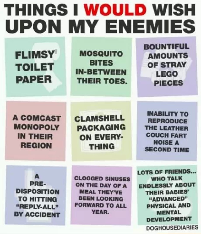 Things I would wish upon my enemies.
