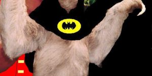 Bat Sloth