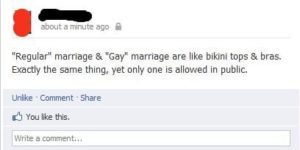 The difference between regular and gay marriage.
