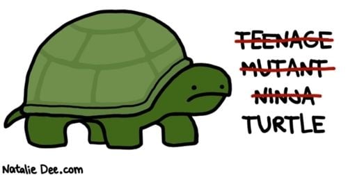 Turtle.