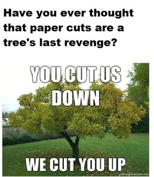 A tree's last revenge.