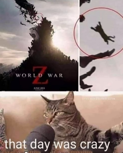the cat survived the zombie apocalypse