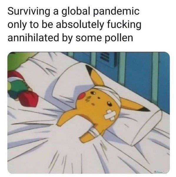 allergies win
