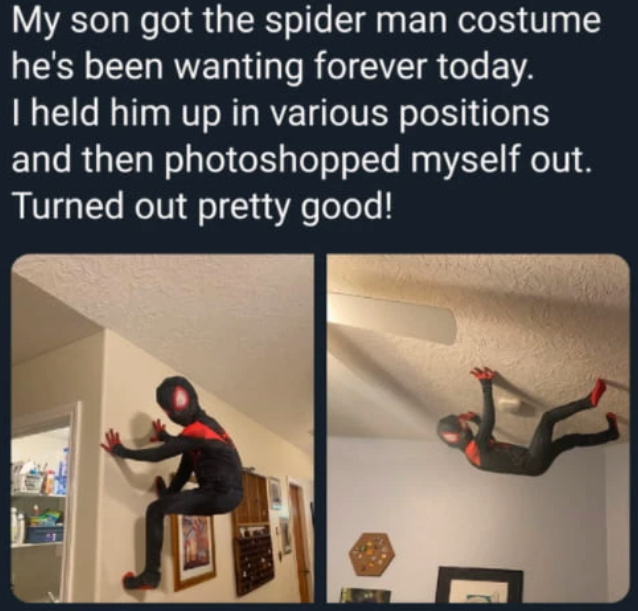 does whatever a spider can