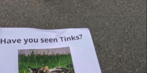 yes, and tinks has seen me