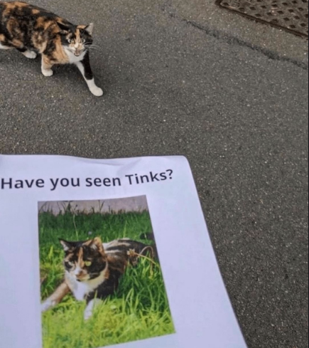 yes, and tinks has seen me