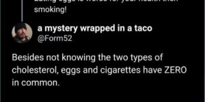eggs and cigarettes have nothing in common