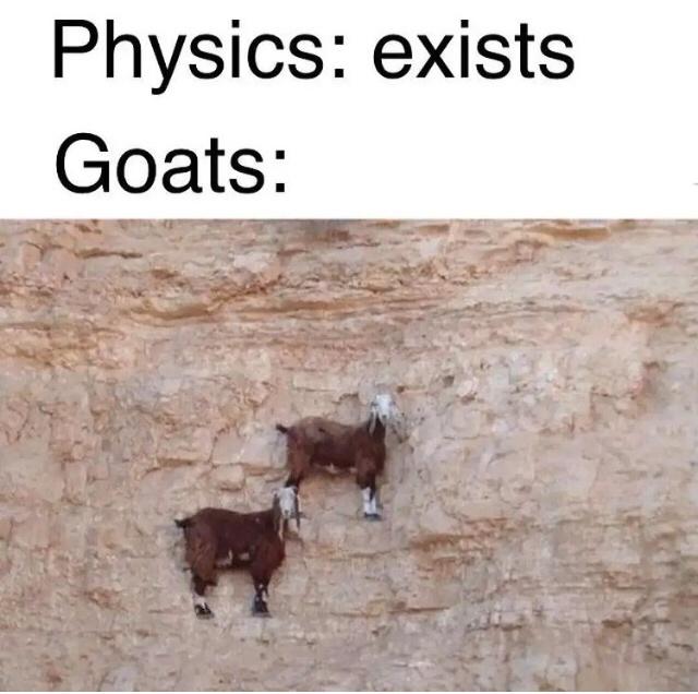 goats don't believe in physics