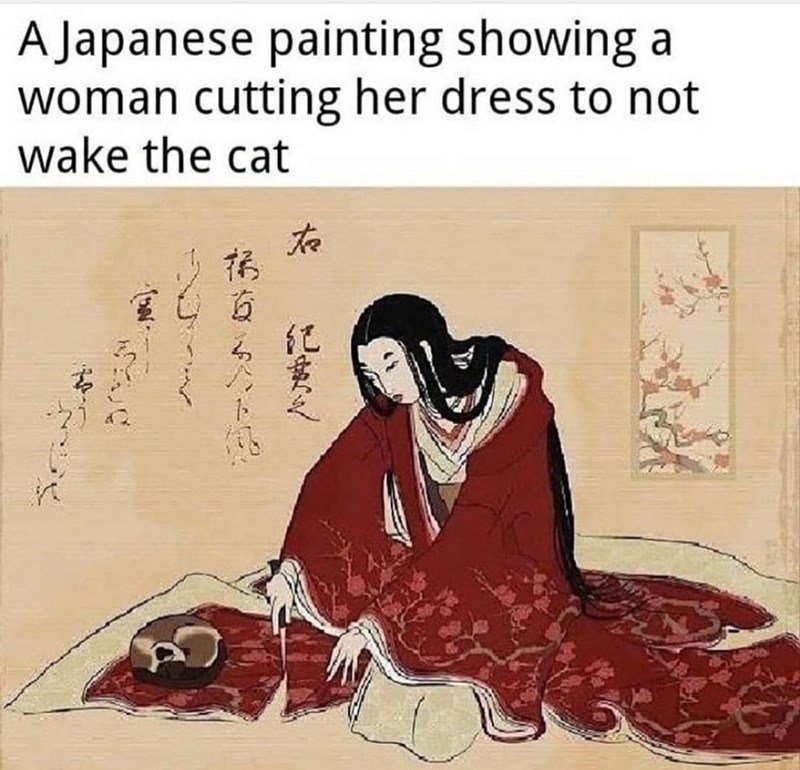 never wake the cat