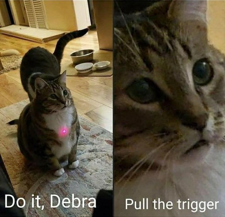 don't do it, debra!