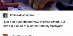 A lemon xenomorph hybrid. run