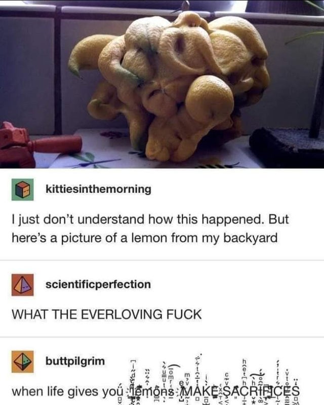 A lemon xenomorph hybrid. run