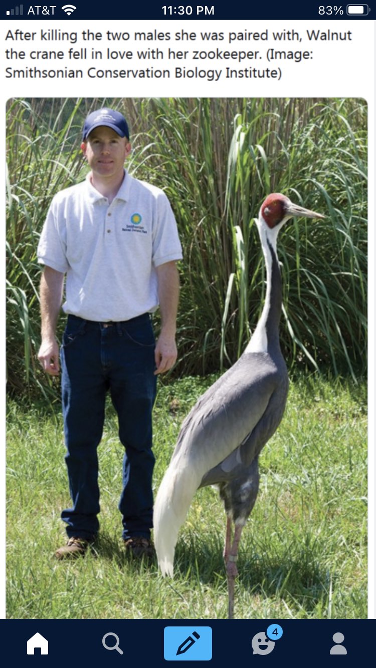 crane marriage never ends in divorce