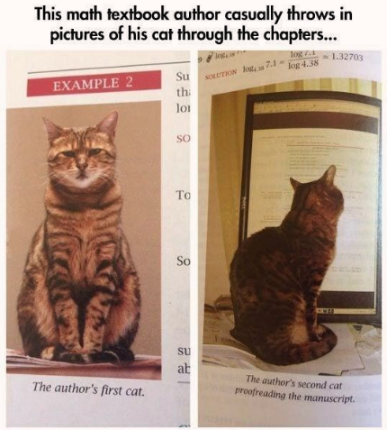 the only math book i want to learn from