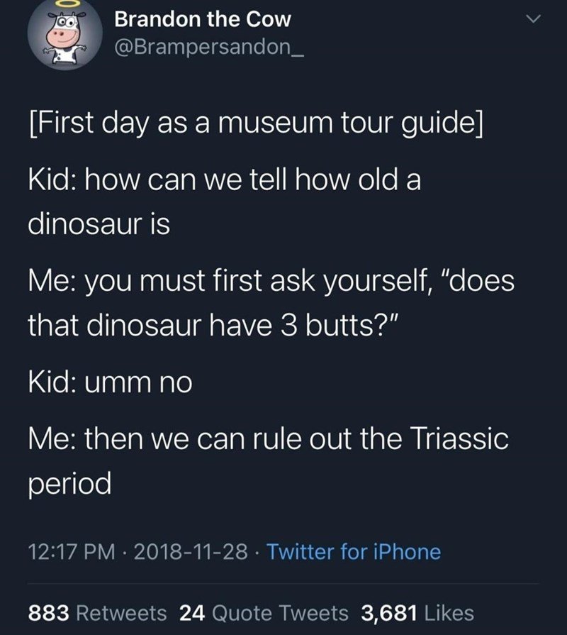 the only tour guide i want showing me around