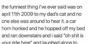and the cat never returned