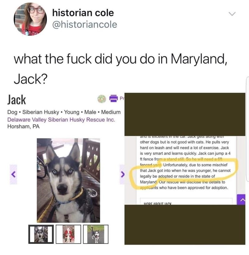 what did you do jack?!?!?!?!