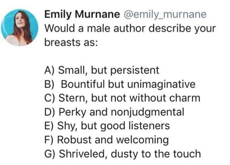 male authors just shouldn't try to describe women