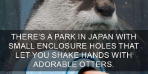 because i needed another reason to visit japan