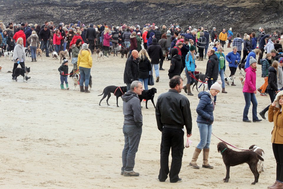 Hundreds of people show up for Walnut's last walkies.