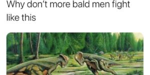 they really should