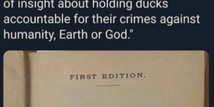 ducks are lawless animals