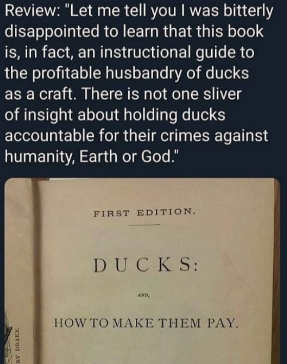 ducks are lawless animals