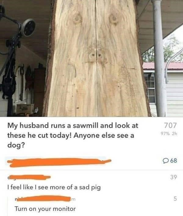 dog or sad pig?