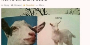 goat. kid. get. killing
