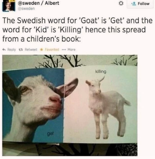 goat. kid. get. killing