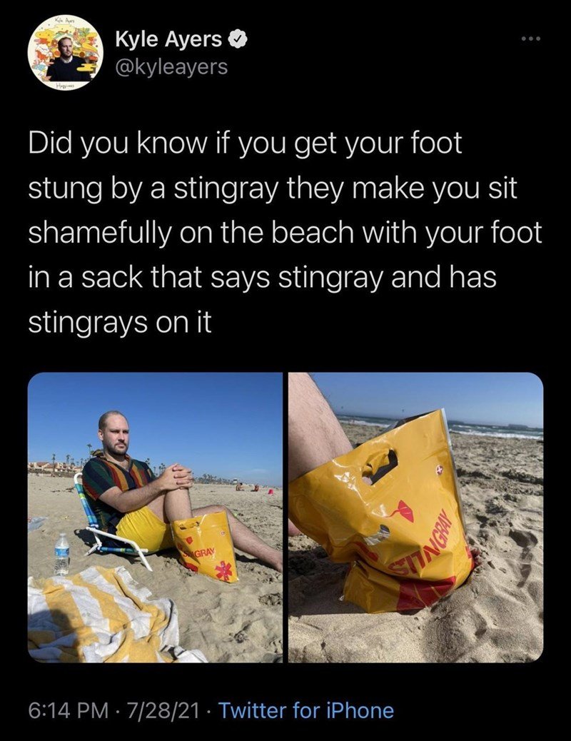 stingray shaming