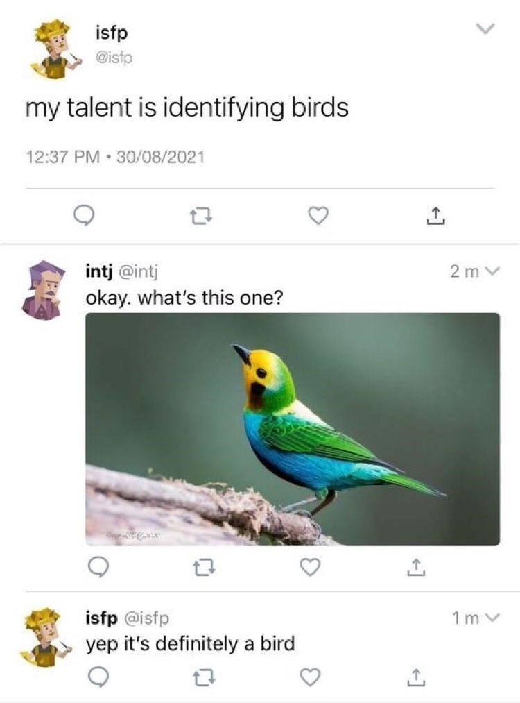 it's a bird