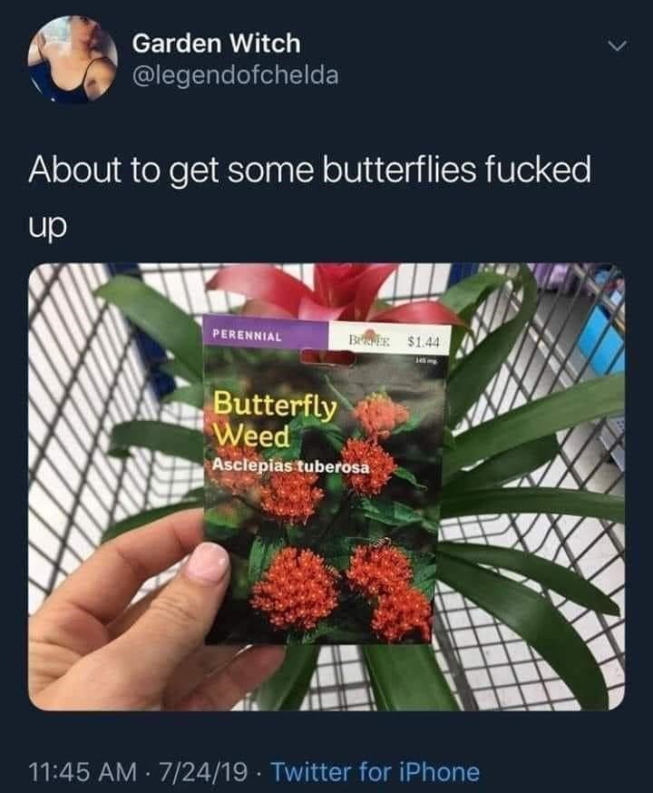 butterhigh