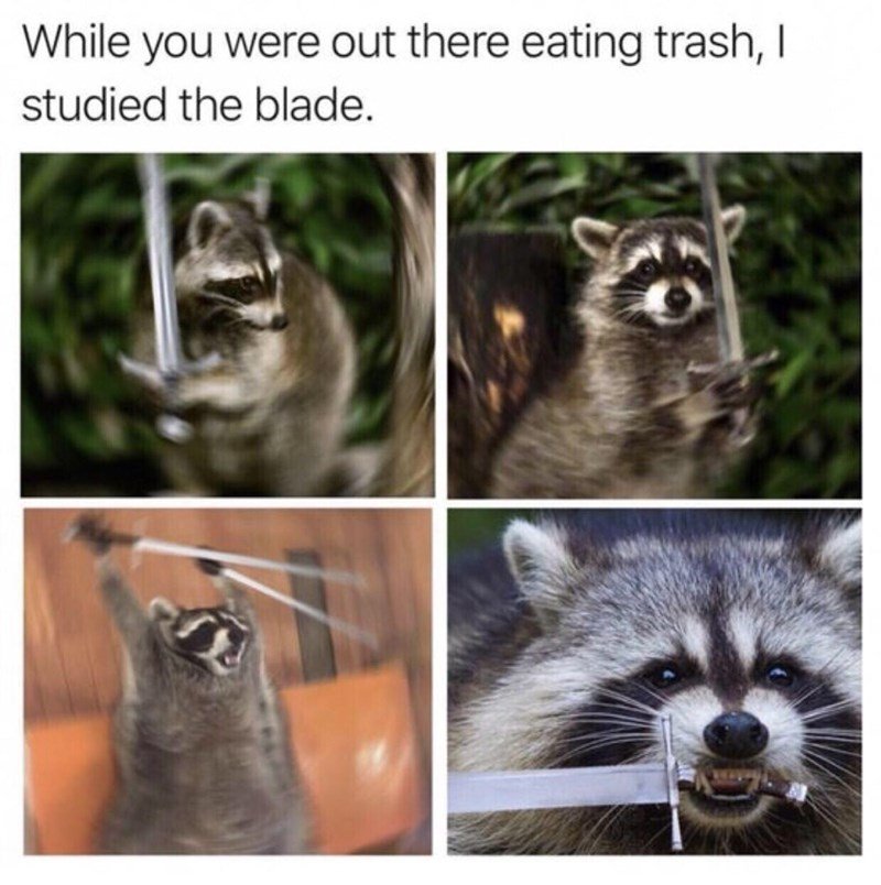 call me trash panda one more time