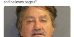 everyone knows alligators love bagels