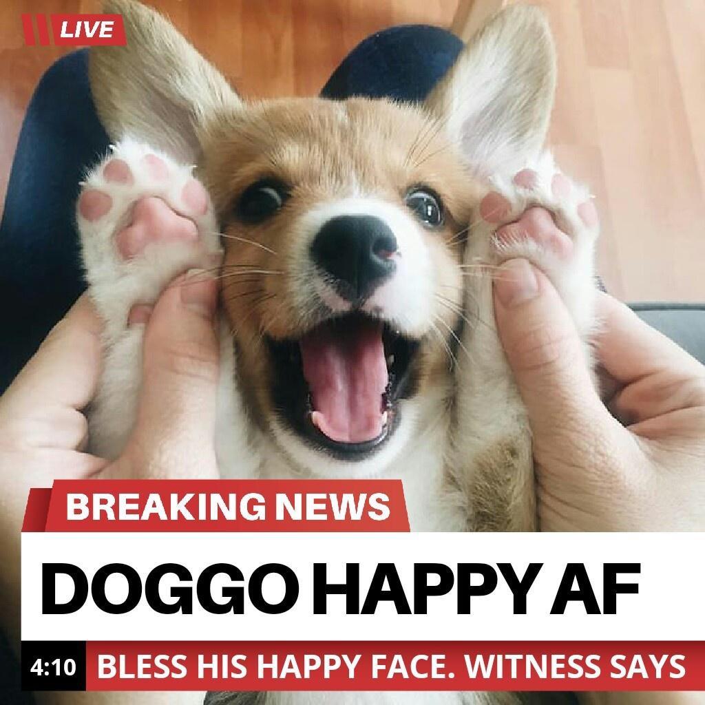 the good news we all need