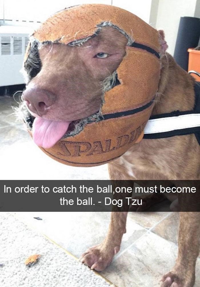 become the ball