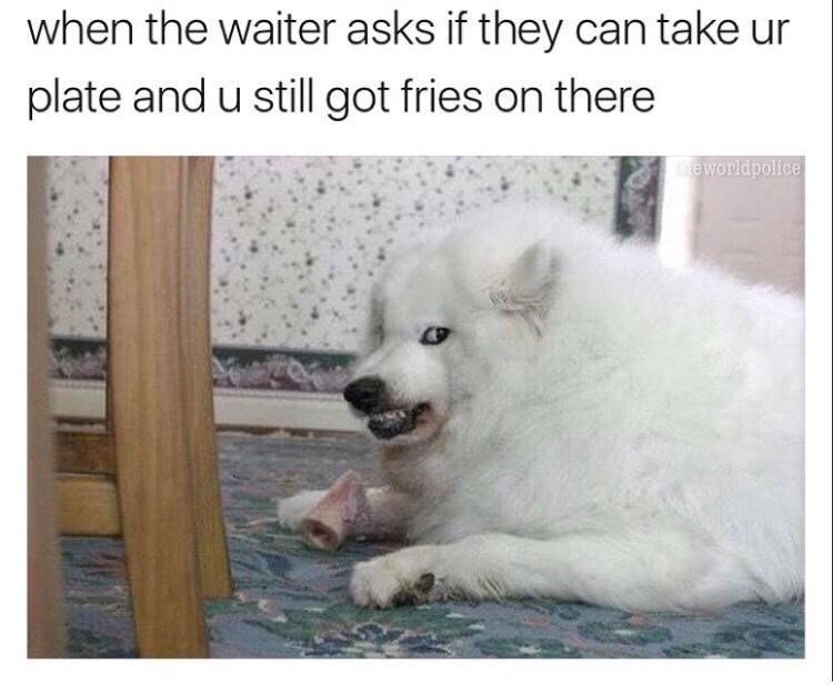 my fries!