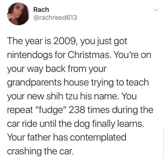 nintendogs needs a sequel