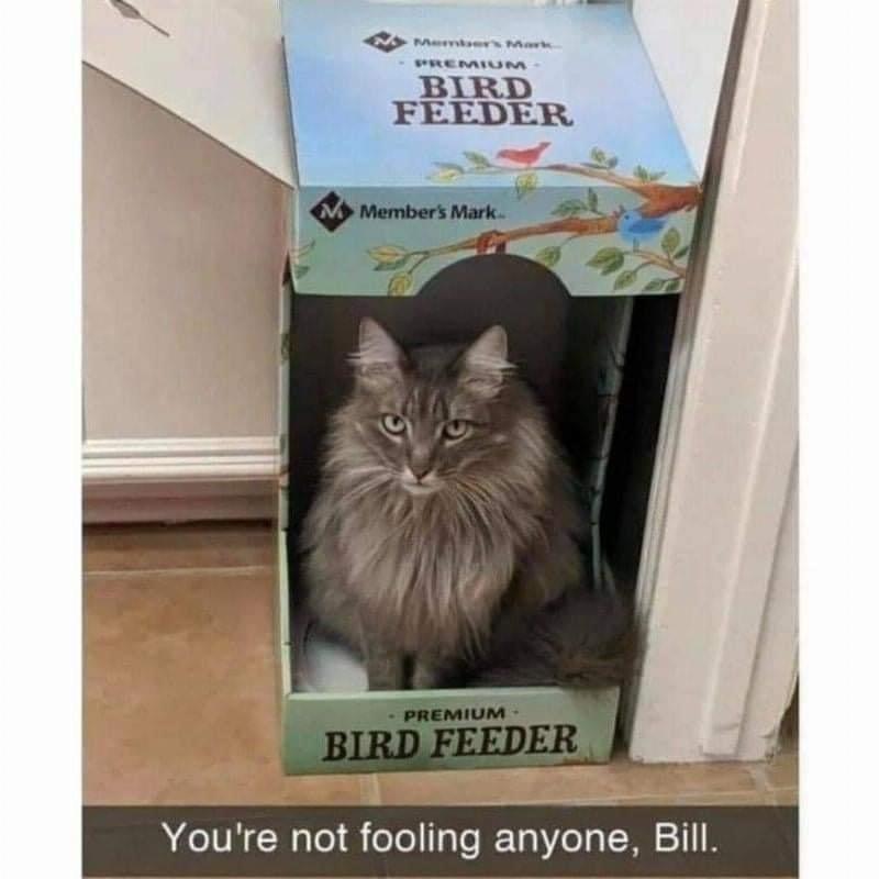 nice try, bill